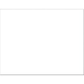 Pacon 6-Ply Railroad Board P5461-1, White, 22” x 28”, Pack of 25