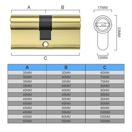 Bwintech 100mm(45/55) Polished Brass Euro Cylinder Lock,Door Barrel Lock,Key/Key with 3 Standard Keys,Anti-Pick,Anti-Bump,Anti Drill,High Security for UPVC,Wooden,Composite Doors