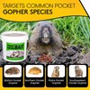 Kaput-D Pocket Gopher Bait - Ready-to-Use Pellets for Effective Rodent