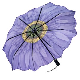 Galleria-Wisteria Daisy Auto-Open/Close Large Portable Rain Folding Umbrella