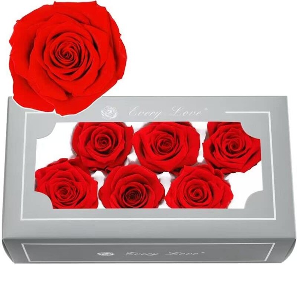 Wishlink 6Pack Each 5-6cm Forever Preserved Roses,100% Real Roses That Last Up to 3 Years,Eternal Roses Flowers for Home Décor Gift,for Valentine,Birthday,Mother's Day,Anniversary (Red-A)
