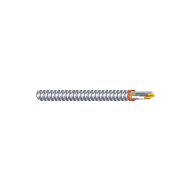 Southwire Cable Armored Steel 12/2 50FT 55274922