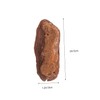 TEHAUX 1 Pack Natural Bark Scenery Materials for Micro Landscape