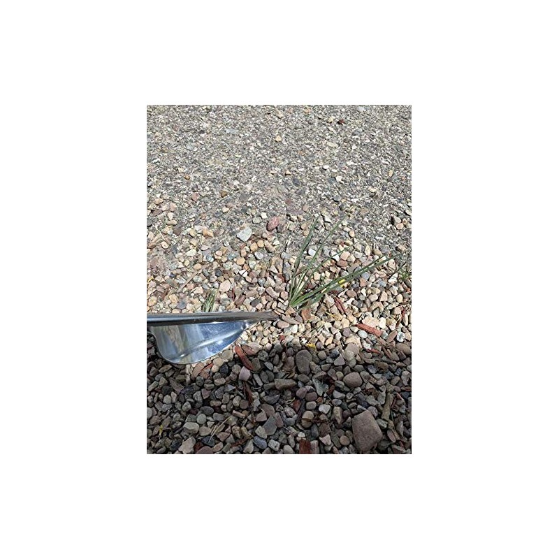 Edward Tools Weeding Tool - Leverage Metal Base Creates Perfect