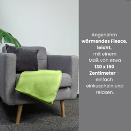 wometo Polar Fleece Blankets, Set of 2, Oeko-Tex, 130 x 160 cm, approx. 400 g, with Anti-Pilling and Overcast Hem, Green, Grass Green