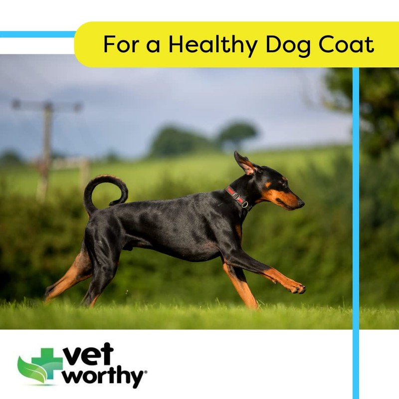 Vet Worthy Wild Alaskan Salmon Oil Blend for Dogs -