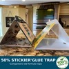 2024 All-New Moth Traps - Multi 4 Pack Bundle (2
