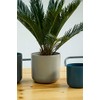 Ivyline Lisbon Planter Light Grey D13.5Cm