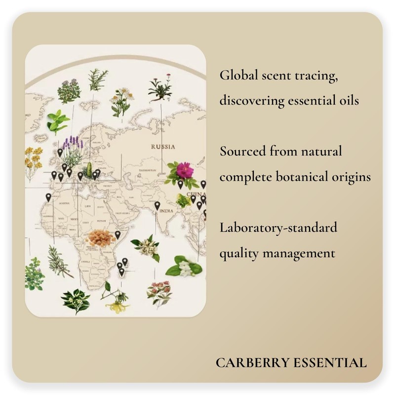 Essential Oils 100% Pure Oils kit- Top 12 Aromatherapy Oils