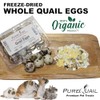 Freeze Dried Organic Quail Egg Topper for Dogs or Cats