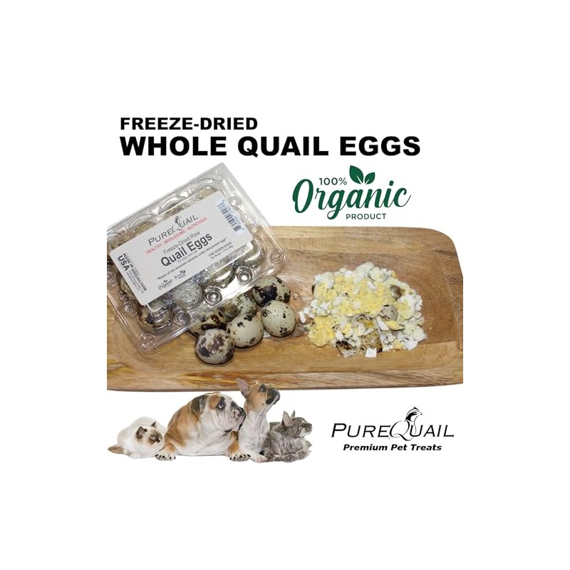 Freeze Dried Organic Quail Egg Topper for Dogs or Cats