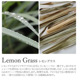 DANNY LIB Lemongrass Incense Cones Incense Holder Set of 25 Refreshing Scents for 20 Minutes Burning Aroma Relax Yoga Meditation