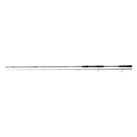 DAIWA Seahunter X Sea Trout 1022ML, 2 Pieces, 3.10 m, 10-40g, Sea Fishing Rod, 11533-312