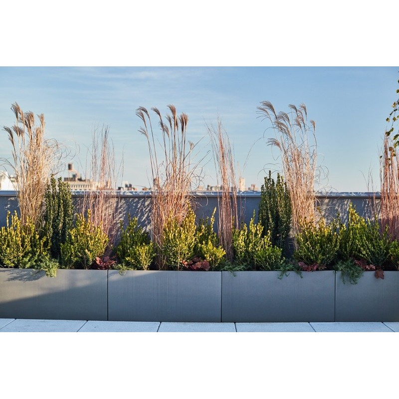 Root and Stock Belmont Rectangle Fiberglass Planter Box, Grey, L:30"