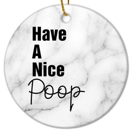 DecStic Christmas Ceramic Ornaments Have A Nice Poop Christmas Porcelain Ornament Funny Positive Motivational Christmas Memory Keepsake Ornament for Family Friends Parents 3 in