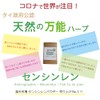 どこまでも自然な製法にこだわった 穿心蓮 パウダー(Fah Talai joen/Andrographis/Bhunimba/sensinren Powder) 50g センシンレン ブーニンバ アンドログラフィス