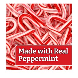MINI CANDY CANES (200 MINI CANDY CANES) | Mini Candy Canes Peppermint Flavored | Red & White Stripes - Individually Wrapped Gift Pack | Holiday Candy for Christmas, Santa Parade, ThanksGiving, Holidays and More | Free Creative Idea Booklet Included