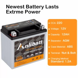 Anlibatt YTX14-BS 12V ATV Battery High Performance - Maintenance Free - Sealed ETX14 BS