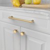 Amerdeco 10 Pack Champagne Bronze Cabinet Pulls 10 Inch(254mm) Hole
