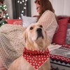 Elegant Little Tail Dog Bandana for Small, Medium & Large