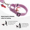 Aiminto Adjustable Nylon Reflective Martingale Dog Collar for Training and