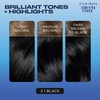 Clairol Nice'n Easy Permanent Hair Dye, 2 Black Hair Color,