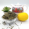 China Sencha Organic Green Loose Leaf Tea (100g)