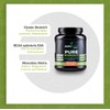 Pure Intra Workout Shake - Cluster Dextrin + EAA +