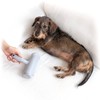 InnovaGoods® Pet Hair Remover Roller Rellair Removes Pet Hair Quickly