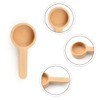 Luckious Short Handle Wooden Coffee Spoon - Coffee and Tea