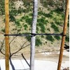 One Stop Outdoor USA Made - Universal Tree Ties 32"