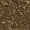 Biotiva Catnip Organic 100g - Nepeta cataria - Catswort -