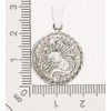 AFP ASt-12 Capricorn Pendant 925 Sterling Silver, Sterling Silver, No