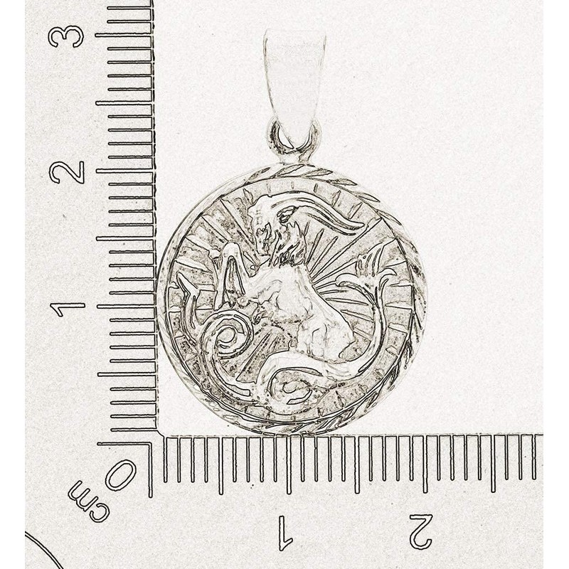 AFP ASt-12 Capricorn Pendant 925 Sterling Silver, Sterling Silver, No