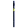 Irish Tin Whistle Key D | Black Walton's Penny Whistle,