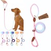 Bee N Buu Dog Leash - Slip Leads for Dogs,