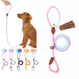 Bee N Buu Dog Leash - Slip Leads for Dogs, 5 FT Pet Training Leash, Strong Heavy Duty Braided No Pull Loop Rope Training Lead Leashes for Small, Medium, Large Breeds, Pink & Blue