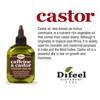 Difeel Caffeine & Castor Premium Hair Oil for Faster Hair