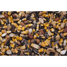 Bushy Tail Treat All Natural Wild Bird Food 20 lbs