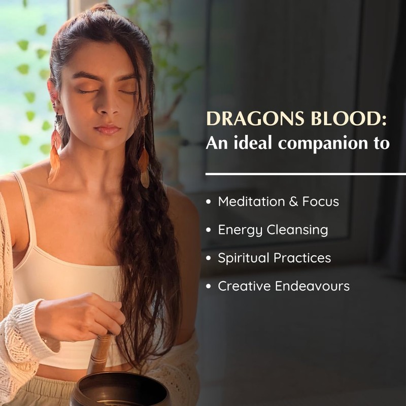 Aromafume Dragons Blood Incense Bricks (3 Trays x 9 Pieces