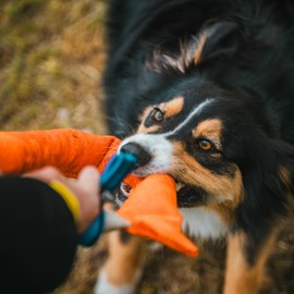 Bull Fit Horseshoe Dog Bite Tug Toy - Tug of War Dog Toy for 2 Dogs to Play - Made of Durable & Tear-Resistant French Linen - Safe, Wide & Comfortable Grip - Ideal for Medium to Large Breed Training
