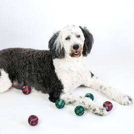 Midlee Dog Christmas Plaid Tennis Balls (Standard)