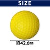 IKY Indoor Practice Golf Balls, Set of 12, Independent Training,
