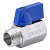 Derosen 3/8" Stainless Steel (316) Mini Ball Valve - FxM