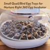 WFXSHparts Small Quail/Bird Egg Trays for Nurture Right 360 Egg