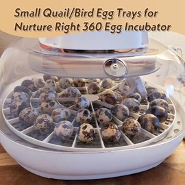 WFXSHparts Small Quail/Bird Egg Trays for Nurture Right 360 Egg Incubator ，Small (Quail/Bird) - 48 Eggs
