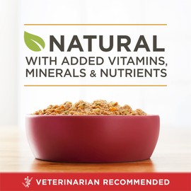 Purina ONE Classic Ground Chicken and Brown Rice Entree Adult Wet Dog Food - 13 Oz. Can, Pack of 12