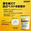 Nihon Shinyaku Winzone Energy Tablet (180 Tablets) 30 Day Supply