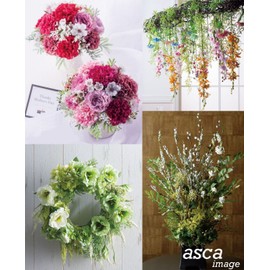 asca Artificial Pick