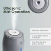 Airvana Aqua Glo Personal, Portable Humidifiers for Bedroom – Ultrasonic